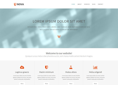 让经营更稳健的在线轰炸电话网页版